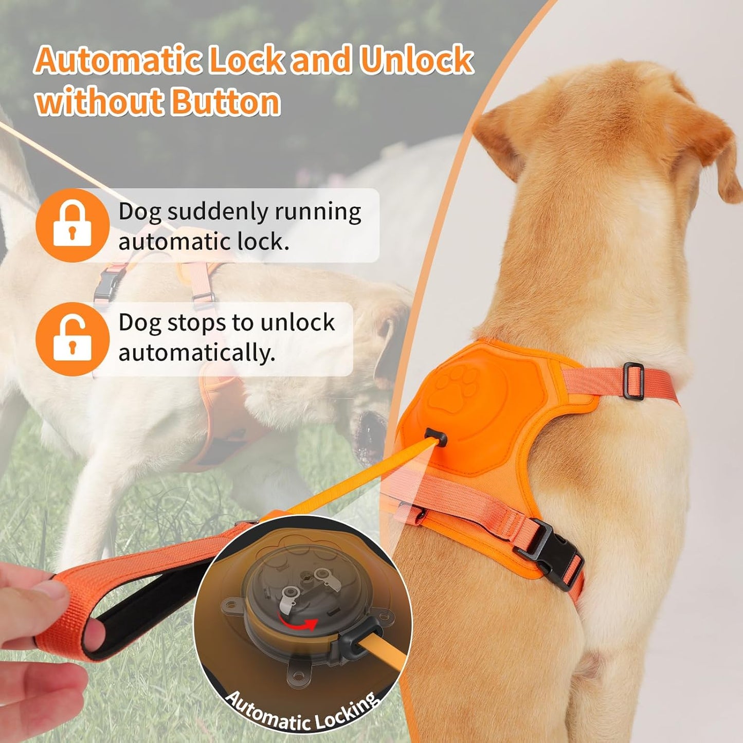 Dog Harness and Retractable Leash Set