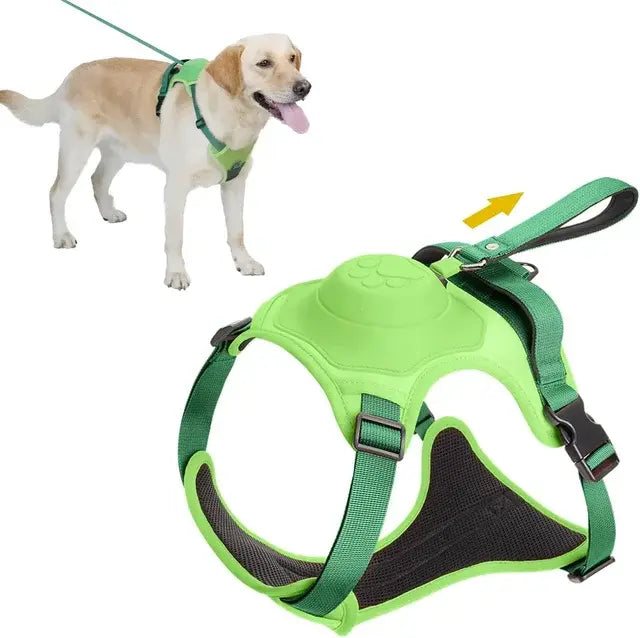 Dog Harness and Retractable Leash Set